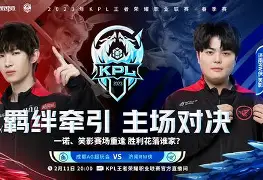 开云电子登录-勒沃库森转会消息
